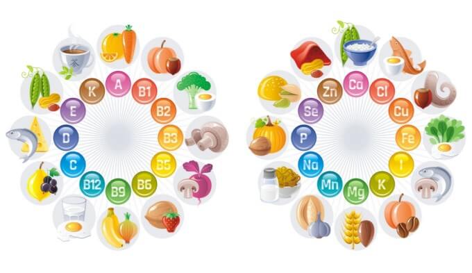 Vitamin và khoáng chất là những vi chất dinh dưỡng bắt buộc phải có trong thức ăn
