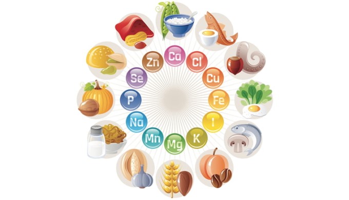 Nên Cho Trẻ Sử Dụng Vitamin Và Khoáng Chất Nào Để Tăng Trưởng Chiều Cao Tốt Nhất? 8 Khoáng Chất Luôn Cần Thiết Cho Sự Tăng Trưởng Chiều Cao Ở Trẻ