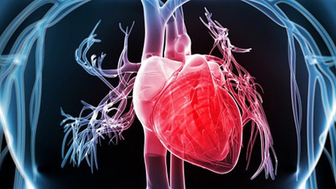 Đa số bệnh nhân nghẽn động mạch đều có bệnh tim đi kèm