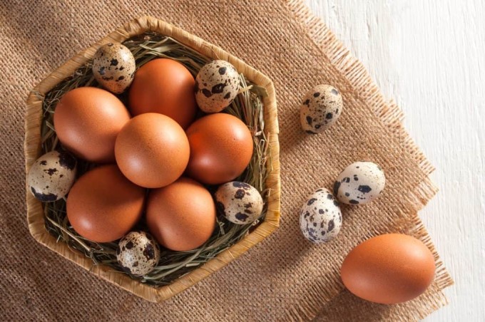 Nên Bổ Sung Các Món Trứng Trong Thực Đơn Hàng Tuần