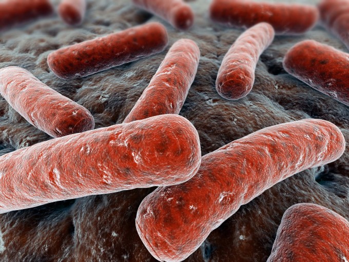Bệnh Lao Cơ Xương Do Vi Khuẩn Mycobacterium Tuberculosis Gây Ra