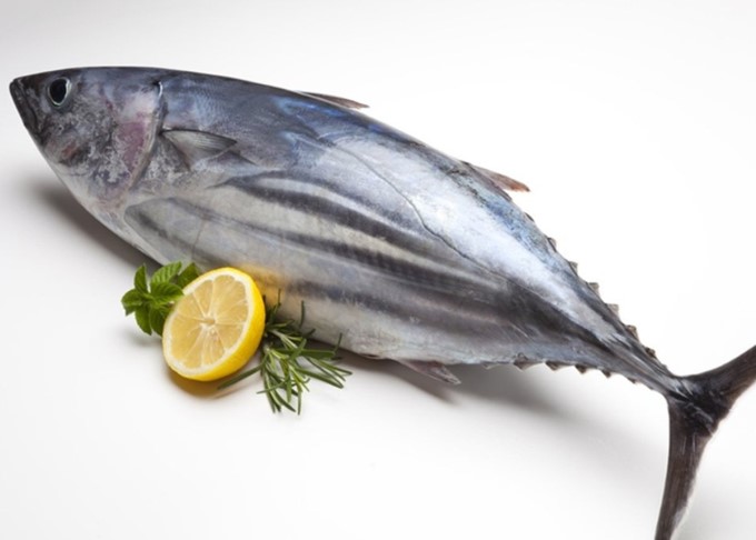 Cá ngừ cũng là thự phẩm giàu axit béo ommega - 3