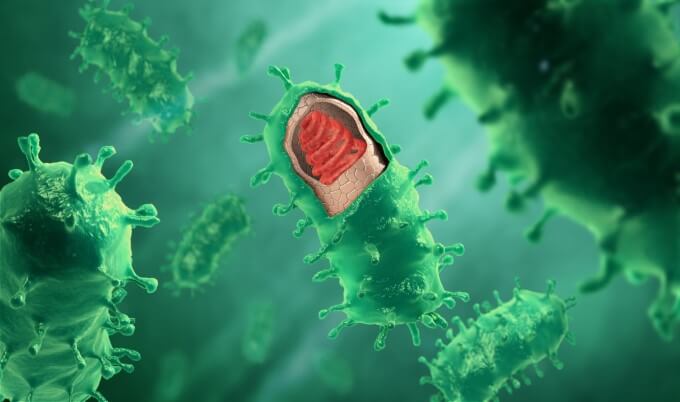 Nhiều Chuyên Gia Cho Rằng Virus Hoăc Vi Khuẩn Nguyên Nhân Gây Bệnh