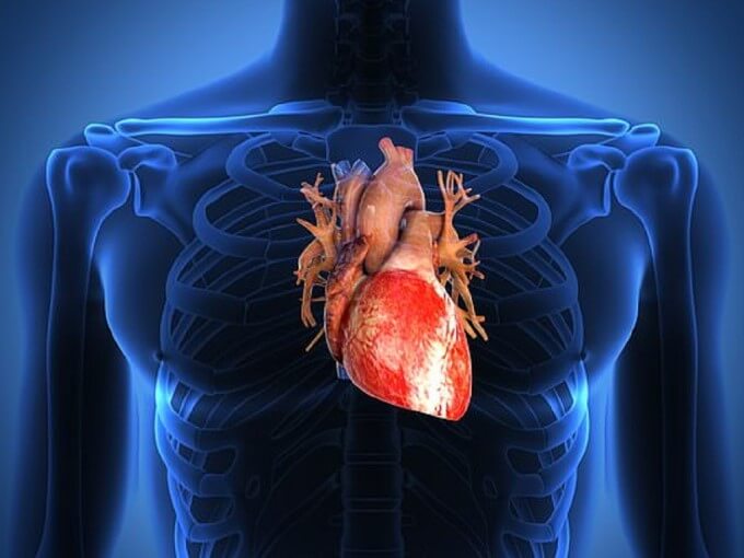 Rung Nhĩ Được Chia Làm 4 Loại