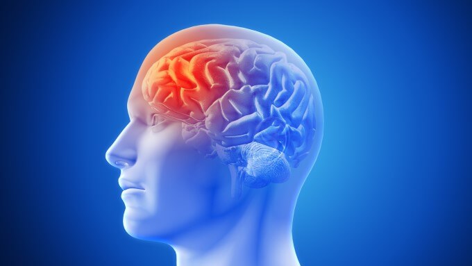 Cục Máu Đông Hình Thành Chặn Quá Trình Lưu Thông Máu, Gây Ra Đột Quỵ