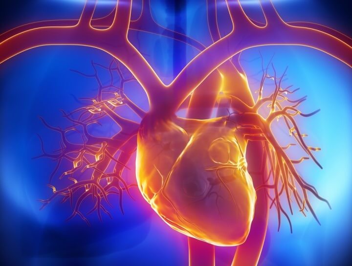 Bệnh thân chung động mạch: nguyên nhân, triệu chứng và điều trị như thế nào?