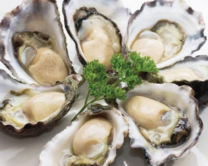 Hàu Là Thực Phẩm Giàu Protein, Vi Khoáng Quan Trọng