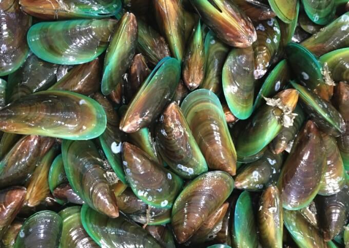 Axit Béo Omega-3 Có Trong Vẹm Xanh Có Khả Năng Giảm Viêm Hiệu Quả