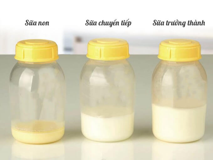 Sữa mẹ được chia thành 3 loại theo từng giai đoạn khác nhau