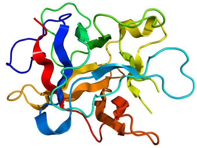 Bổ Sung Enzyme Tiêu Hoá