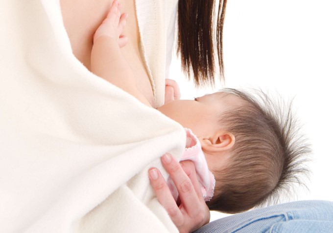 Bồ Công Anh Lợi Sữa