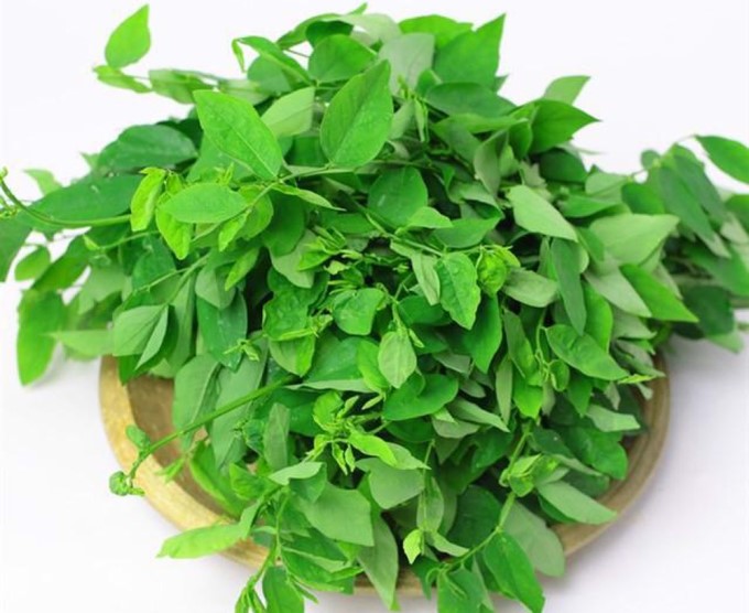 Rau Có Tác Dụng Lợi Sữa
