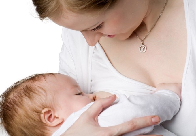 Quả Sung Có Tác Dụng Lợi Sữa
