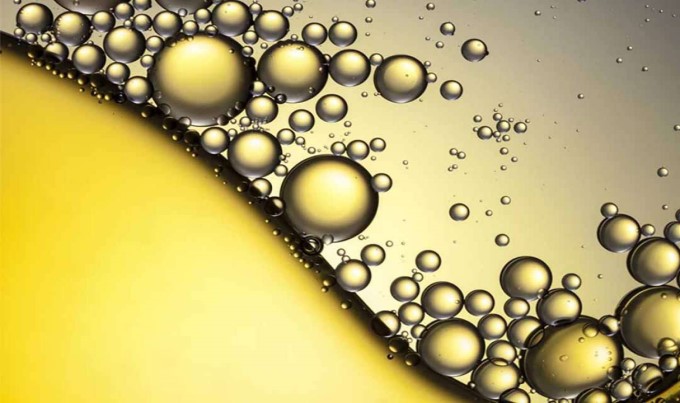Cải Thiện Lipid