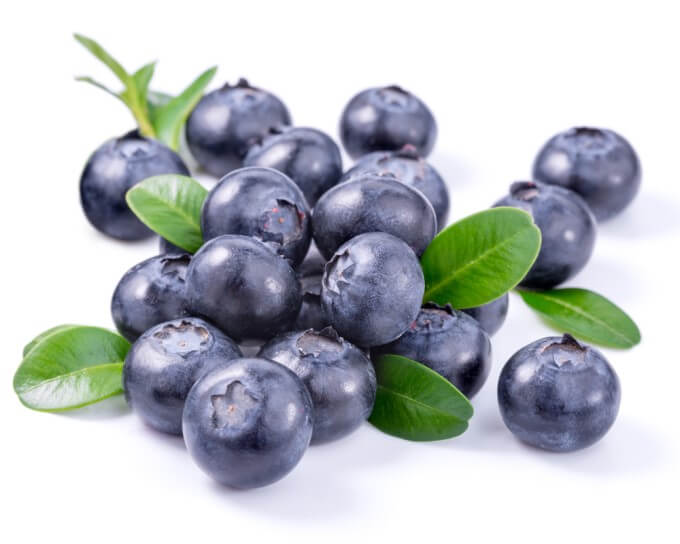 Quả Việt Quất Rất Giàu Anthocyanin