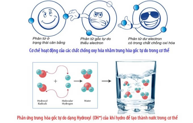 Chất Chống Oxy Hóa