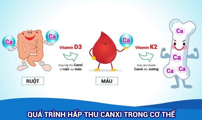 Bổ Sung Canxi