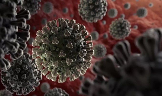 Virus