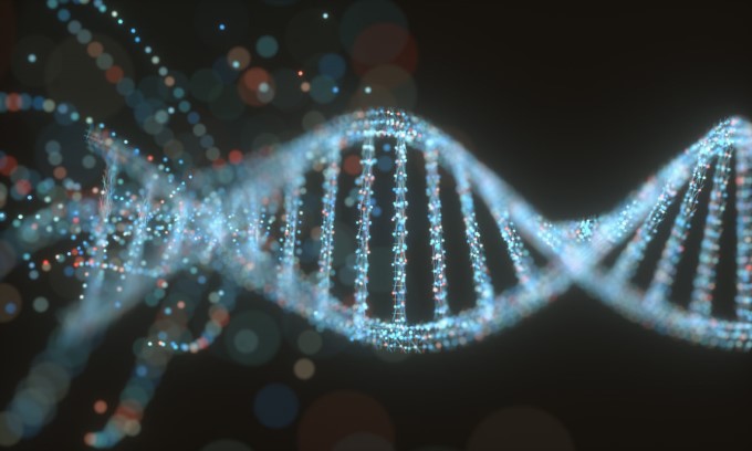 Đột Biến Gene