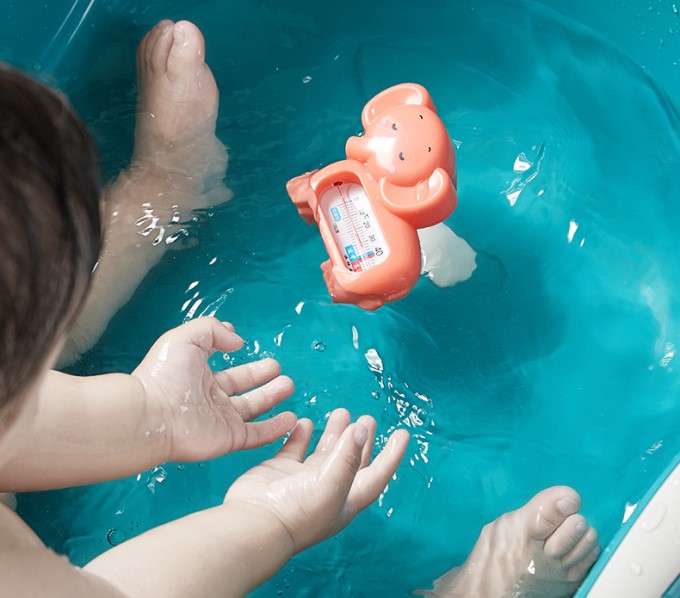 Nhiệt Kế Hình Thú