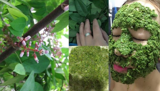 Đắp Mặt Bằng Lá Khế