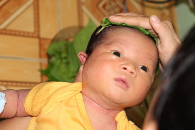 Lá Trầu Không Chữa Nấc Cụt