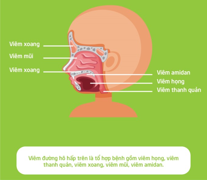 Viêm Đường Hô Hấp Trên