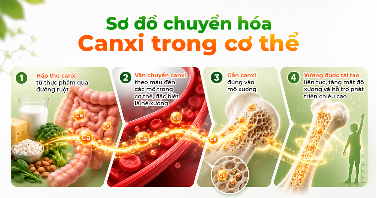 Chuyên Gia Chỉ Ra 5 Tiêu Chí Chọn Sản Phẩm Hỗ Trợ Tăng Chiều Cao Cho Trẻ – Cha Mẹ Nên Biết 2 Chuyên Gia Chỉ Ra 5 Tiêu Chí Chọn Sản Phẩm Hỗ Trợ Tăng Chiều Cao Cho Trẻ – Cha Mẹ Nên Biết